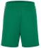 Unisex Basic Team Shorts Green/white 7456