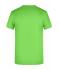 Herren Men's Basic-T Lime-green 8474