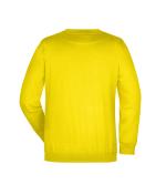 Unisex Round-Sweat Heavy Sun-yellow 7209