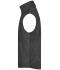 Unisexe Gilet polaire 300 g/m² homme Gris-foncé 7216