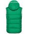 Homme Gilet nautique homme Vert-irlandais/blanc 8186