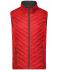 Men Men's Lightweight Vest Red/carbon 8270