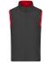 Men Men's Lightweight Vest Red/carbon 8270