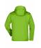 Homme Veste trekking homme Vert-printemps/gris-fer 8281