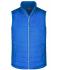 Men Men's Padded Vest Royal 8498