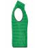 Dames Ladies' Down Vest Varengroen/zilver 8494