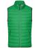 Homme Bodywarmer en duvet homme Vert-fougère/argent 8495