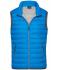 Heren Men's Down Vest Kobalt/zilver 8495