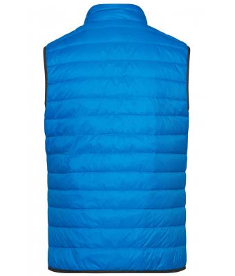 Heren Men's Down Vest Kobalt/zilver 8495