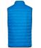 Heren Men's Down Vest Kobalt/zilver 8495