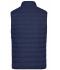Heren Men's Down Vest Navy/zilver 8495