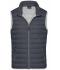 Heren Men's Down Vest Grafiet/zilver 8495