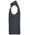 Heren Men's Down Vest Grafiet/zilver 8495