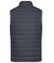 Heren Men's Down Vest Grafiet/zilver 8495
