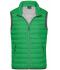 Heren Men's Down Vest Varengroen/zilver 8495
