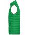 Heren Men's Down Vest Varengroen/zilver 8495