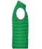 Heren Men's Down Vest Varengroen/zilver 8495