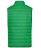 Heren Men's Down Vest Varengroen/zilver 8495