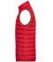Heren Men's Down Vest Rood/zilver 8495