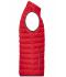 Heren Men's Down Vest Rood/zilver 8495