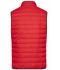 Heren Men's Down Vest Rood/zilver 8495