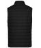 Heren Men's Down Vest Zwart/zilver 8495