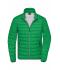 Men Men's Down Jacket Fern-green/silver 8497