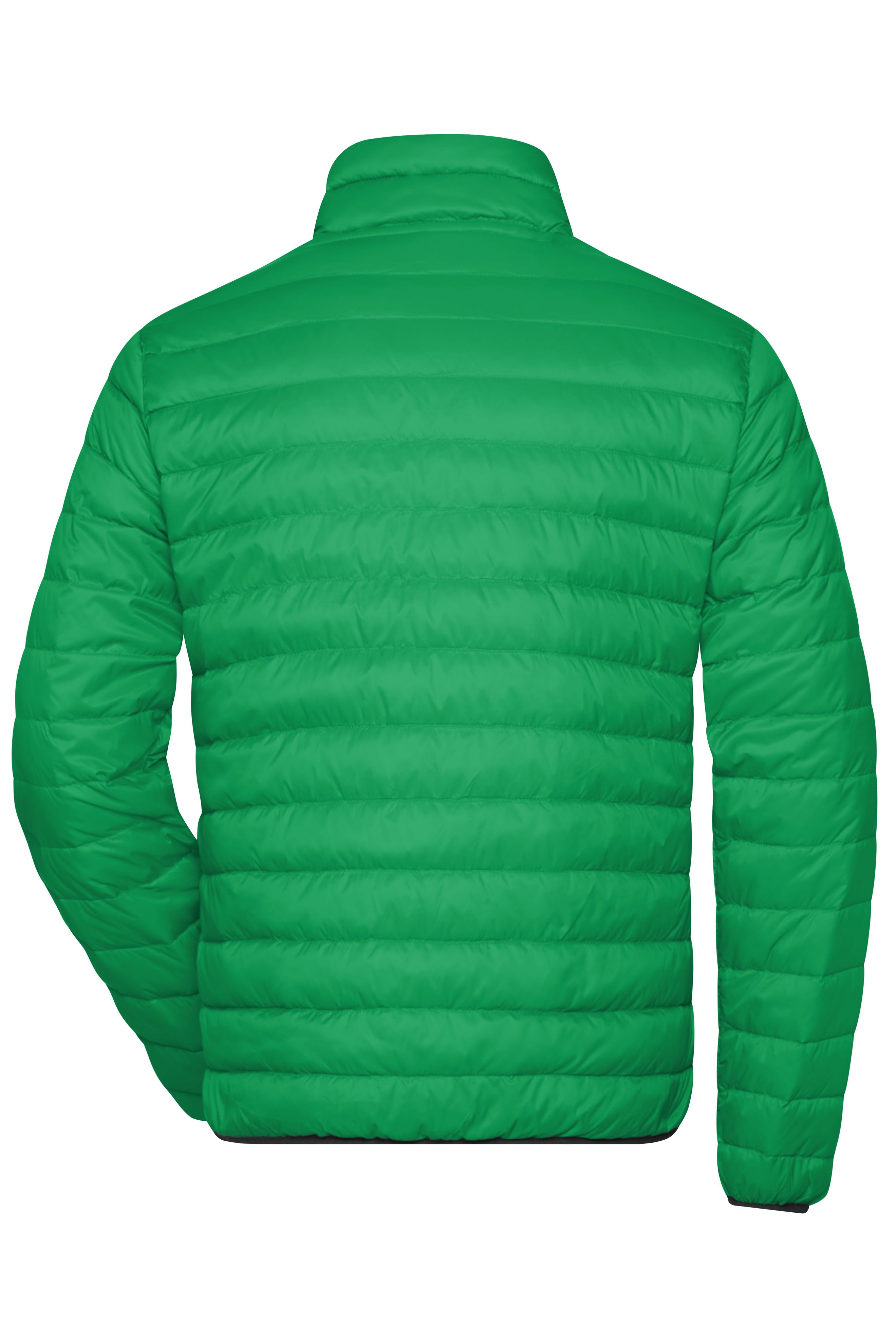 Men Men's Down Jacket Ferngreen/silverDaiber