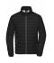 Homme Veste en duvet homme Noir/argent 8497