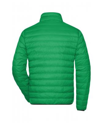 Homme Veste en duvet homme Vert-fougère/argent 8497