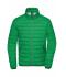 Homme Veste en duvet homme Vert-fougère/argent 8497