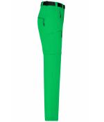 Homme Pantalon trekking homme Vert-fougère 8601