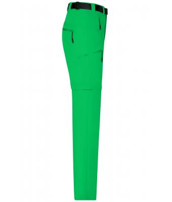 Homme Pantalon trekking homme Vert-fougère 8601