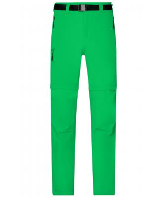 Homme Pantalon trekking homme Vert-fougère 8601