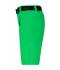 Ladies Ladies' Trekking Shorts Fern-green 8602