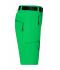 Ladies Ladies' Trekking Shorts Fern-green 8602