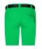 Ladies Ladies' Trekking Shorts Fern-green 8602