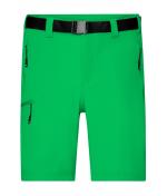 Men Men's Trekking Shorts Fern-green 8603