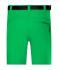 Men Men's Trekking Shorts Fern-green 8603