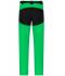 Men Men's Trekking Pants Fern-green/black 8605