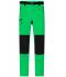 Men Men's Trekking Pants Fern-green/black 8605