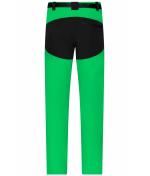 Homme Pantalon trekking homme Vert-fougère/noir 8605