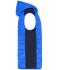 Heren Men's Hybrid Vest Blauw/navy 11469