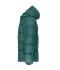 Homme Veste d’hiver homme   GRS Vert-fumé 11804