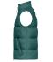 Heren Men's Winter Vest  GRS Rokerig-groen 11996
