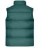 Herren Men's Winter Vest  GRS Smoky-green 11996