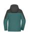 Ladies Ladies' 3-in-1 Jacket  GRS Smoky-green/carbon 11997