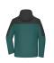 Homme Veste 3 en 1 pour hommes  GRS Vert-fumé/carbone 11998