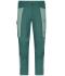 Unisexe Pantalon de travail (toutes saisons) extensible dans les quatre sens Vert-industriel/vert-brumeux 12029