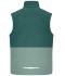 Unisex Workwear Softshell Vest Industrieel-groen/mistig-groen 12035